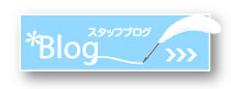 VIVACE BLOG